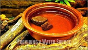 providing a water source