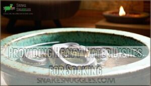 providing heavy water dishes for soaking
