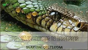 pus-filled cavities or abscesses pus-filled cavities or abscesses