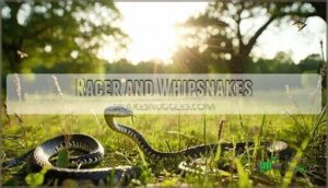 racer and whipsnakes