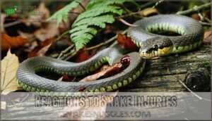 reactions to snake injuries