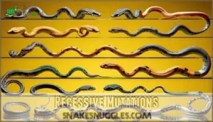 recessive mutations recessive mutations