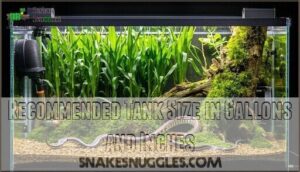 recommended tank size in gallons and inches