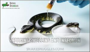 reducing swelling and infection