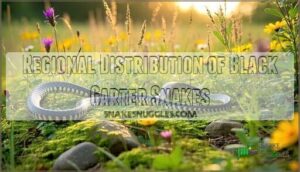 regional distribution of black garter snakes
