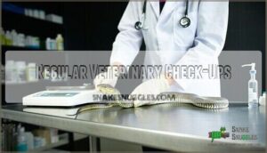 regular veterinary check-ups