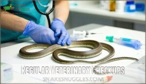 regular veterinary checkups