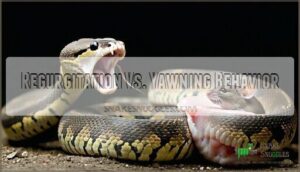 regurgitation vs. yawning behavior