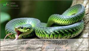 responding to hissing