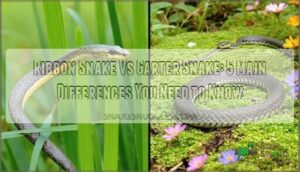 ribbon snake vs garter snake 5 main differences