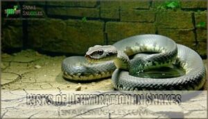 risks of dehydration in snakes