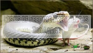 risks of feeding prey that is too large