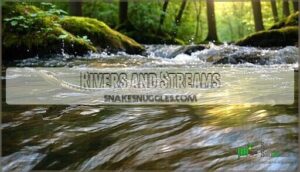 rivers and streams