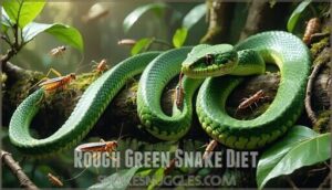 rough green snake diet