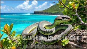 round island boa – island endemic
