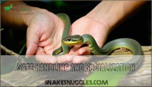 safe handling and socialization