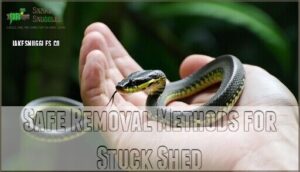 safe removal methods for stuck shed