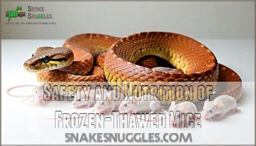 Illustration of Enlightened Options For Frozen Thawed Snakes