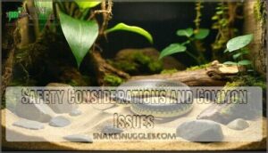 safety considerations and common issues