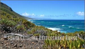santa catalina rattlesnake range