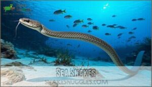 sea snakes