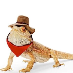 SEIS 2PCS Bearded Dragon Cowboy B0C8J6XL3H