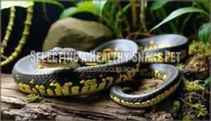 selecting a healthy snake pet