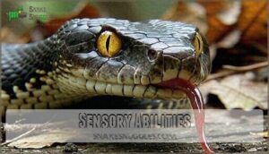 sensory abilities