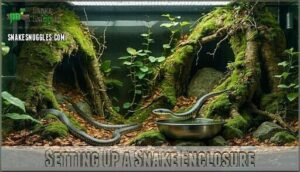 setting up a snake enclosure