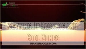 setting up basking and cool zones