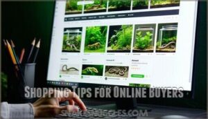 shopping tips for online buyers