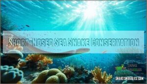 short-nosed sea snake conservation