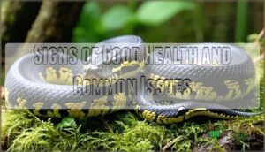 signs of good health and common issues