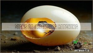 signs of impending hatching