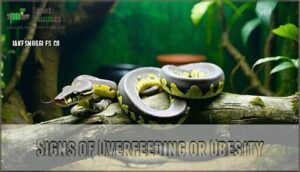 signs of overfeeding or obesity