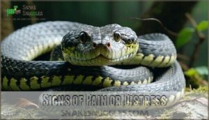 signs of pain or distress