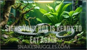 signs your boa is ready to eat again