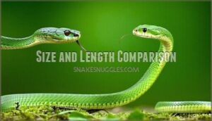 size and length comparison