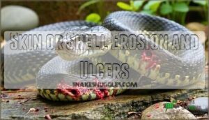 skin or shell erosion and ulcers