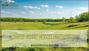 smooth green snake distribution