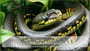 snake breeding basics