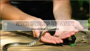 snake handling and safety snake handling and safety