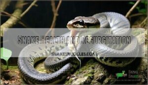 snake health and regurgitation