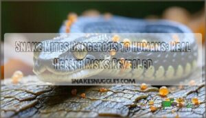 snake mites dangerous to humans