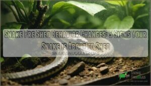 snake pre shed behavior changes