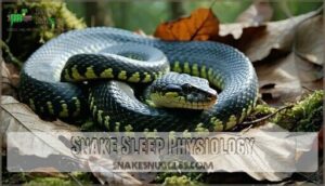 snake sleep physiology