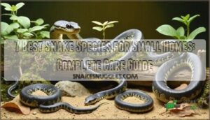 snake species profiles for small homes