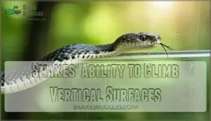 snakes' ability to climb vertical surfaces snakes' ability to climb vertical surfaces