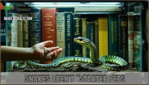 snakes aren’t “starter pets