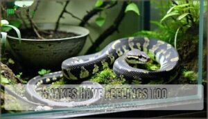 snakes have feelings too